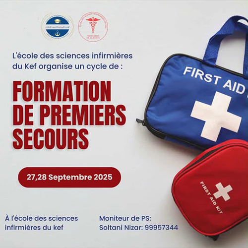 Une séance de formation en premiers secours